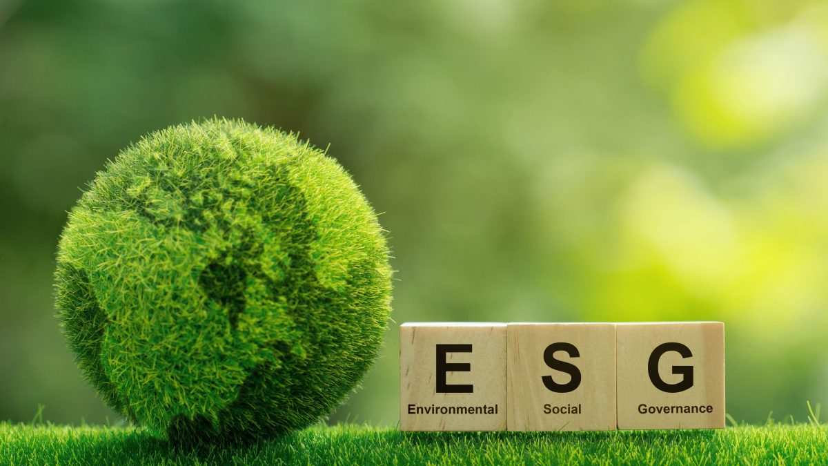 dich-vu-tu-van-va-trien-khai-esg