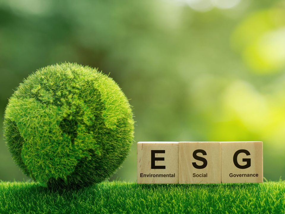dich-vu-tu-van-va-trien-khai-esg