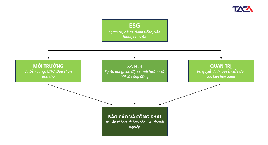 ESG là gì? Trọng tâm về ESG và hướng đi cho tương lai 3 esg-la-gi