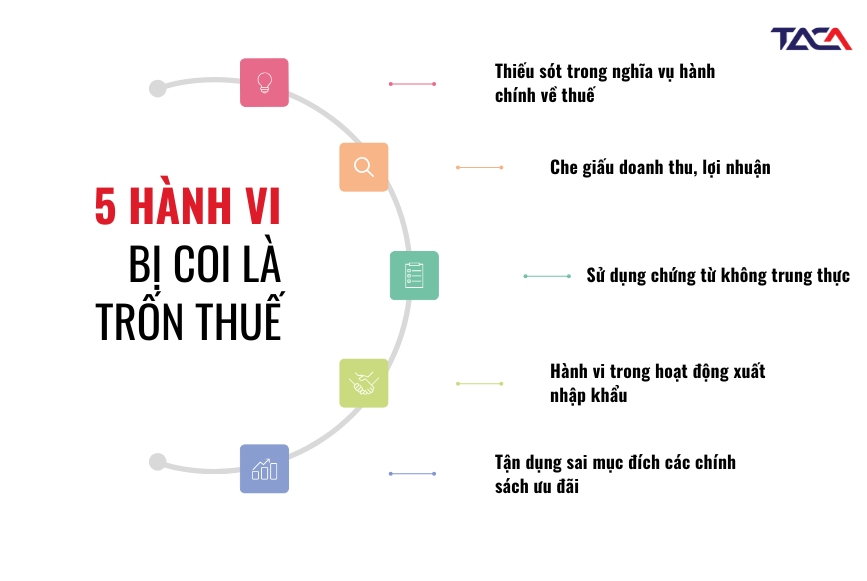 Phòng tránh rủi ro trốn thuế: Doanh nghiệp nên bắt đầu từ đâu? 3 hanh-vi-tron-thue